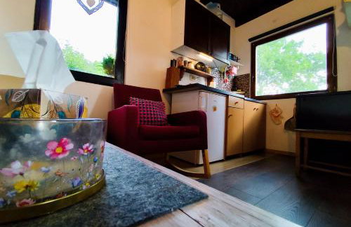 UNDER THE GREEN ROOF - Foto 52