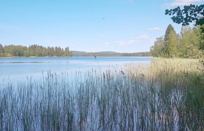 4 Person Holiday Home in Gunnarskog - Photo 12