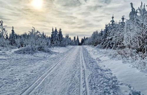 The Bridge - between NewZealand & OreMountains - Foto 61