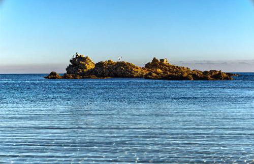 le verger des naiades - Foto 22