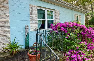 Casita Theresa- 5 min to downtown 15 min to beach - Foto 7
