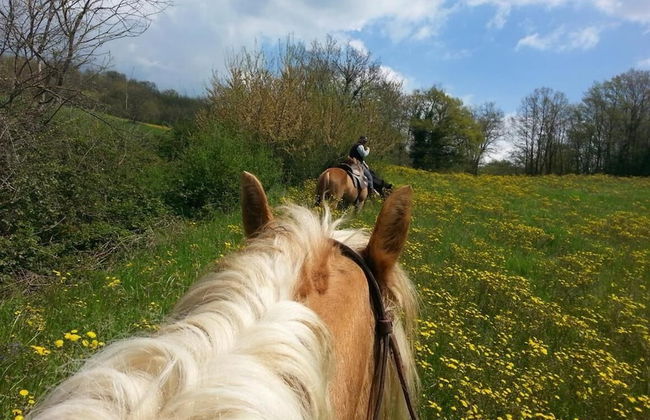 Agriturismo Yes Boss - Foto 27