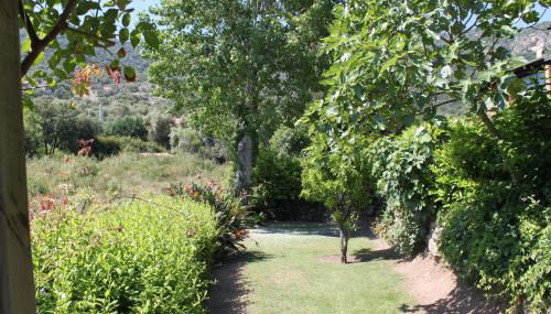 Residence Helios - Foto 5, Garden, Garden view