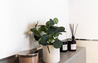 Milic Apartments - by the sea - Photo 34