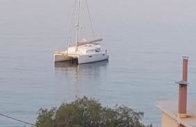 Apartment Dolphins - Photo 1