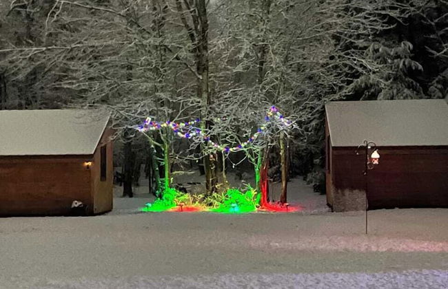 Schlafmans Hollow Solar Cabins - Photo 18