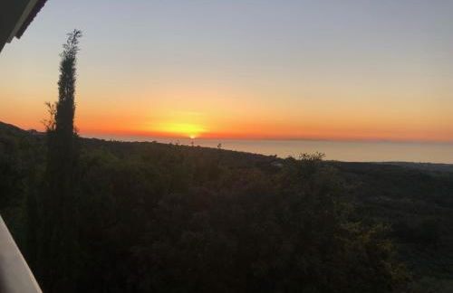 Kyparissia De Wandelboom - Foto 40