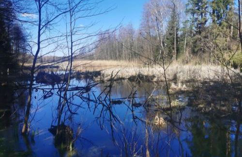 Przystan Ramotowo - Foto 27