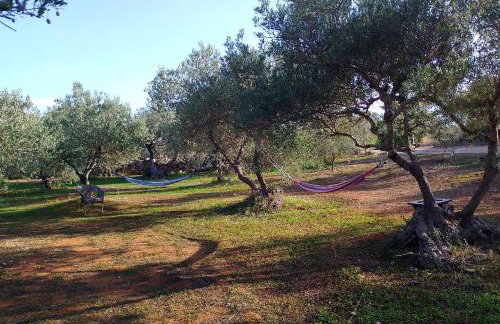 Manolo s olive farm, apartment with seaview - Foto 24