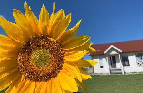 Giżycko-Przerwanki Domki Widok na Mazury - Foto 4