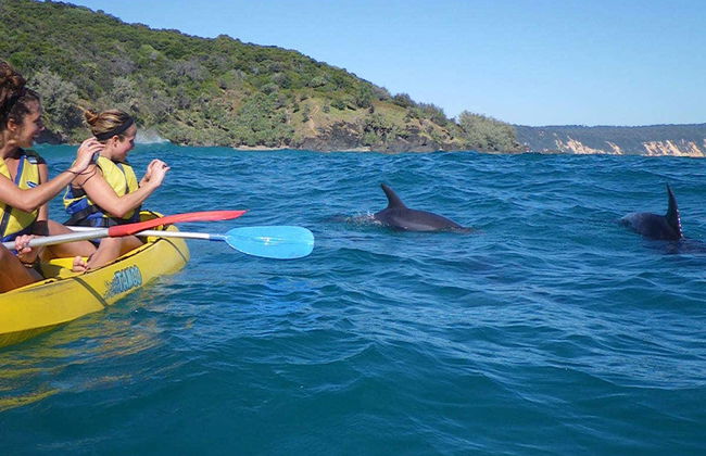 Dolphin View Kayak Tour - Foto 5
