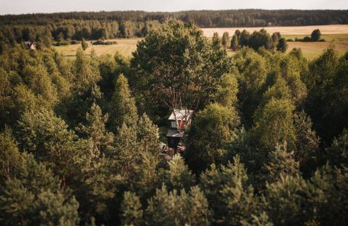 Domek na drzewie - Na Łośmiu Metrach - Foto 10