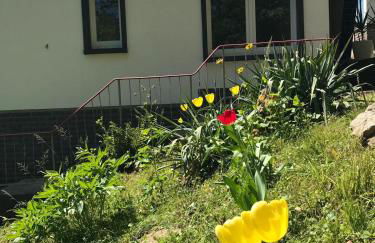 Ferienhaus am Wald - Foto 23