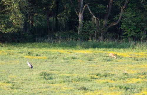 Reihenhaus am Gardersee - Foto 75