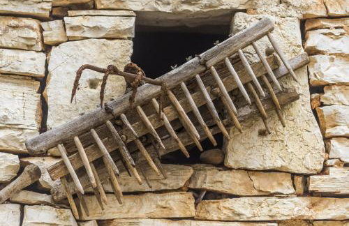 Village Miljavci - Photo 52