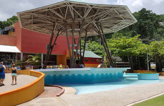 Ocho Rios Villa at Coolshade III - Photo 31