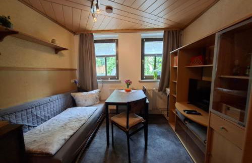 ansimali 2 - Apartment mit Wohn- und Schlafraum, integrierter Küchenzeile, separater Dusche und WC - ideal für Alleinreisende und Monteure am Spiegelwald - Foto 1