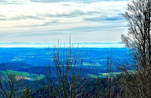 Gemütliches Alpenblick BERG-Bungalow + großer GARTEN + NETFLIX! - Foto 79