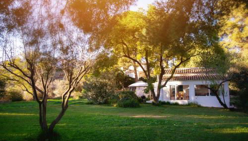 FINCA PALMERS DOS - Photo 3
