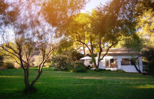 FINCA PALMERS DOS - Photo 3