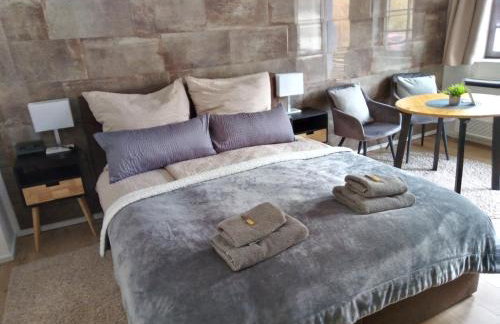 Forest Hill Travel &Work Nettes Apartment mit privatem Eingang Birkenau Mannheim Weinheim Heidelberg - Foto 37