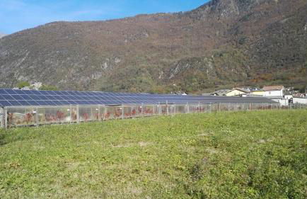 Agriturismo Al Palaz - Foto 29