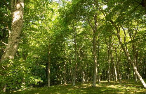 Casa Rural El Huerto de la Fragua - Foto 12