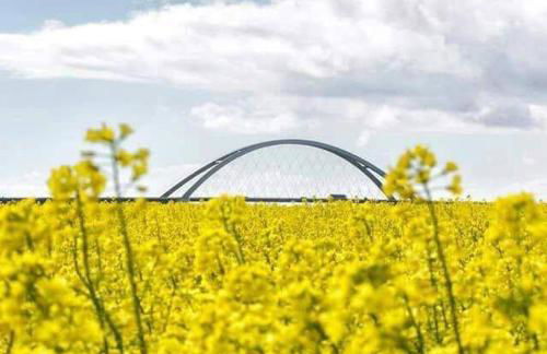 Haus am Dorfteich Kopendorf, Wohnung 1 - Foto 19