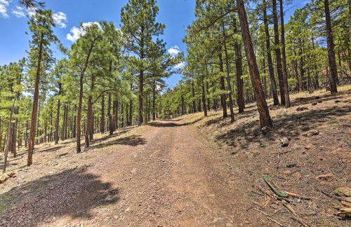 Hike, Bike and Ski, 12 Mi to Slopes Serene Cabin - Foto 30