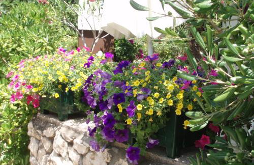 GAJAC ap DUNJA i TINA - Photo 16