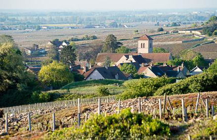 Le Richebourg - Charmant T2 Cosy, tout confort - Foto 34