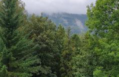 Apartamenty Marii Kawik - Foto 41