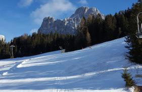 Kellnerhof - Foto 16