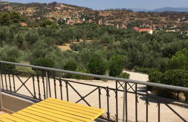 The Olive Orchard - Foto 6