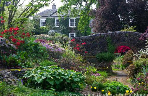 Bressingham Hall - Foto 61