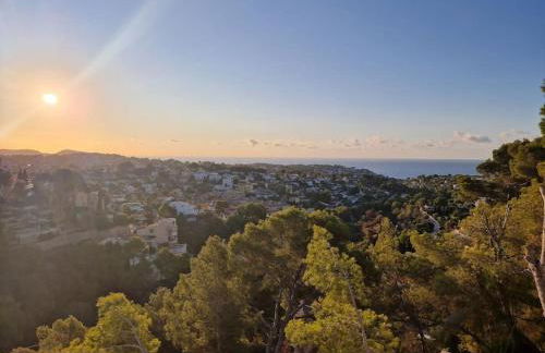 Noahs Paradise - Foto 6