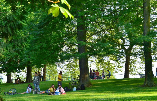 Les Sources Vichy - Foto 54