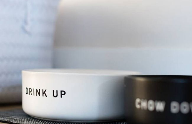 Cozy 2 BR Home With hot tub and Patio - Foto 13