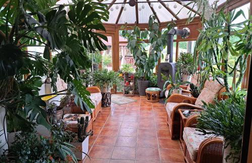 Brzozowy Zakątek - Foto 57