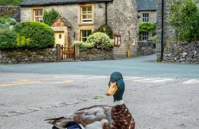Duck Cottage, Milldale, Nr Dovedale, Peak District - Foto 1