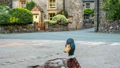 Duck Cottage, Milldale, Nr Dovedale, Peak District - Foto 1