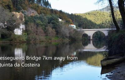 Casa do Ribeiro - Foto 42