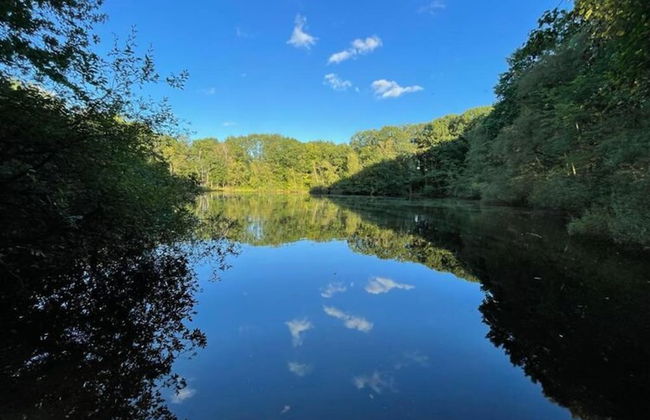 Bright Holiday Home in Lanaken near Lake with Garden - Foto 43