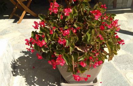 Prosforio - Photo 29