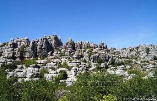 Casa del Burro Perezoso - Foto 38