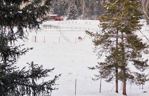 Ohana Ranch - Foto 61