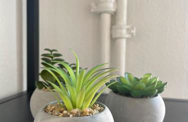 Großzügige Altstadt-Ferienwohnung "Willi" - Foto 10