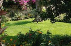 Residence Il Giunco - Foto 30