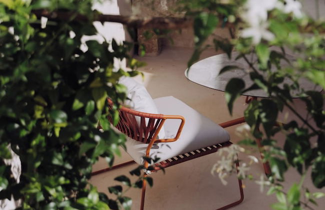 I Tre Bacili - Foto 62