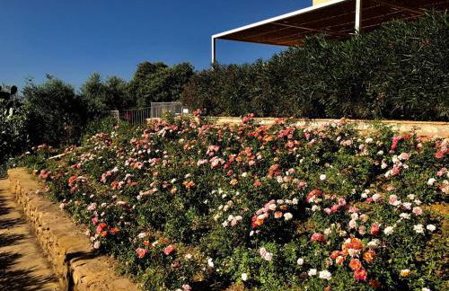 Case Graffeo - Foto 60